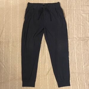 NWOT Vineyard Vines Navy Striped Pants